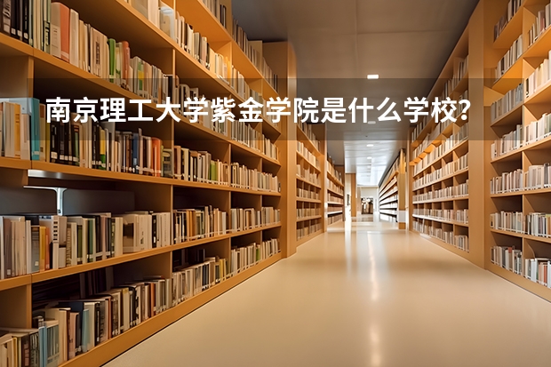 南京理工大学紫金学院是什么学校？