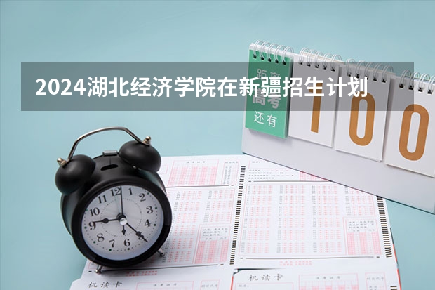 2024湖北经济学院在新疆招生计划表