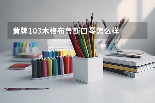 黄牌103木格布鲁斯口琴怎么样
