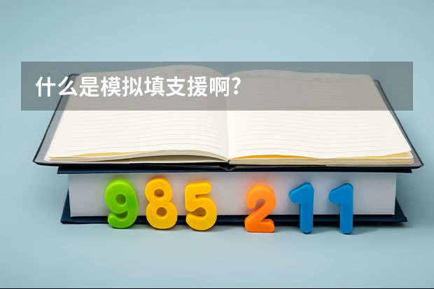 什么是模拟填支援啊?