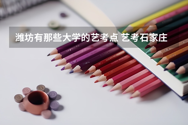 潍坊有那些大学的艺考点 艺考石家庄考点