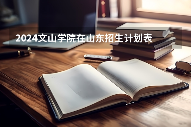 2024文山学院在山东招生计划表